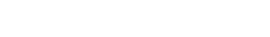 Blue Money Guide Site Footer logo