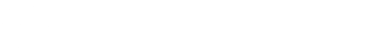 Blue Money Guide Site Footer logo